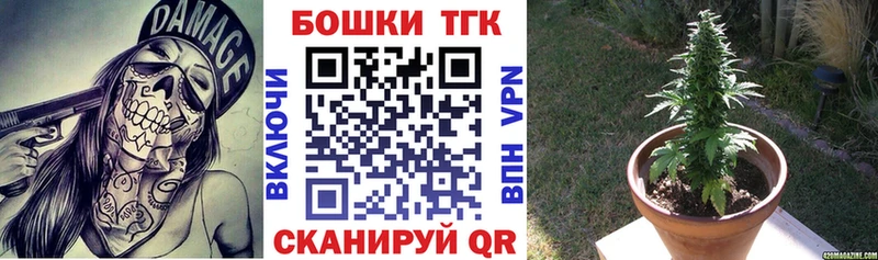 Бошки Шишки семена  Дыгулыбгей 